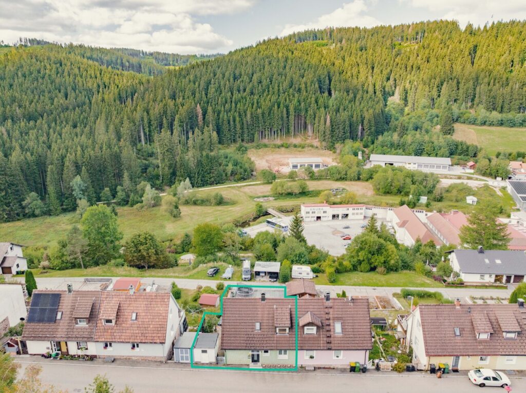 Schwarzwaldblick